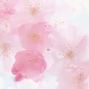 .biae