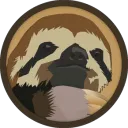 cooodesloth