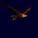superangel25