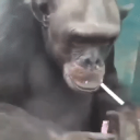 avatar GuyWithaDream