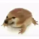 mozartrafi