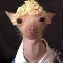 matt0550