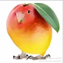 fkaorde
