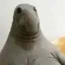 natenukemblast