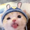 its4lion