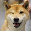 mrwoofie537274