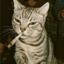 avatar Delter / Waschbär / Dennis