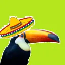 senor_tucan
