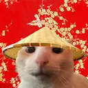sillycheeki