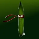 le.concombremasque