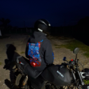 avatar 𝕭𝖊𝖗𝖙  🍁