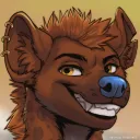 notacleverwolf