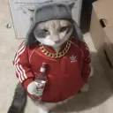 zgato_