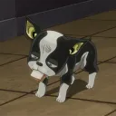 aplly
