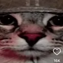 doughnvt avatar