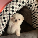 seong_yun.#6205's avatar