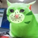 koldkat