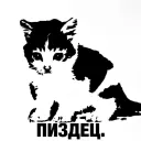 unbeebruh