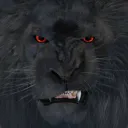 din0o8