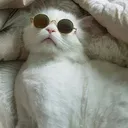 vontisz