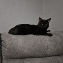 avatar 𝔅𝔢𝔩𝔩𝔢.𝔈𝔳𝔢𝔩𝔶𝔫