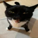 syxtn
