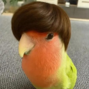 avatar gebrochene flügel