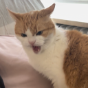 avatar gebrochenes herz