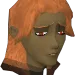 carnsolus