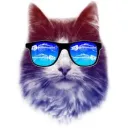 the_coolcat