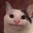 itbaxter