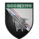 goose37fr