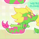 velboi