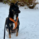 avatar Alari | Laura