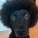 avatar actiongamer27in720p