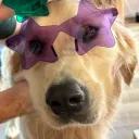 aphroditestinks