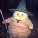 corn8lius