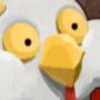 aoaoaoa