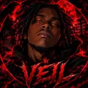 illusiveveil