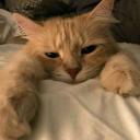 butterdaug