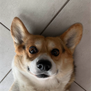 yopoman