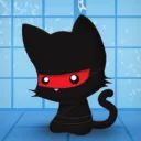 ninja_kitten1