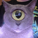 Discord Avatar