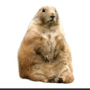 legacy6566#9549's avatar