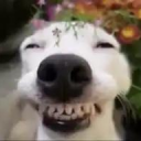 avatar Bҽɾɾყღ