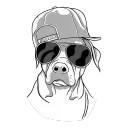mrdogmusic