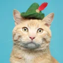 thecatspaw