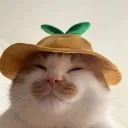 frankfirstandforemost