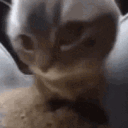 avatar Der Tippexmann