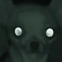 rradrocket